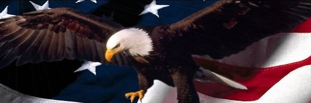 Anna 🇺🇸's banner