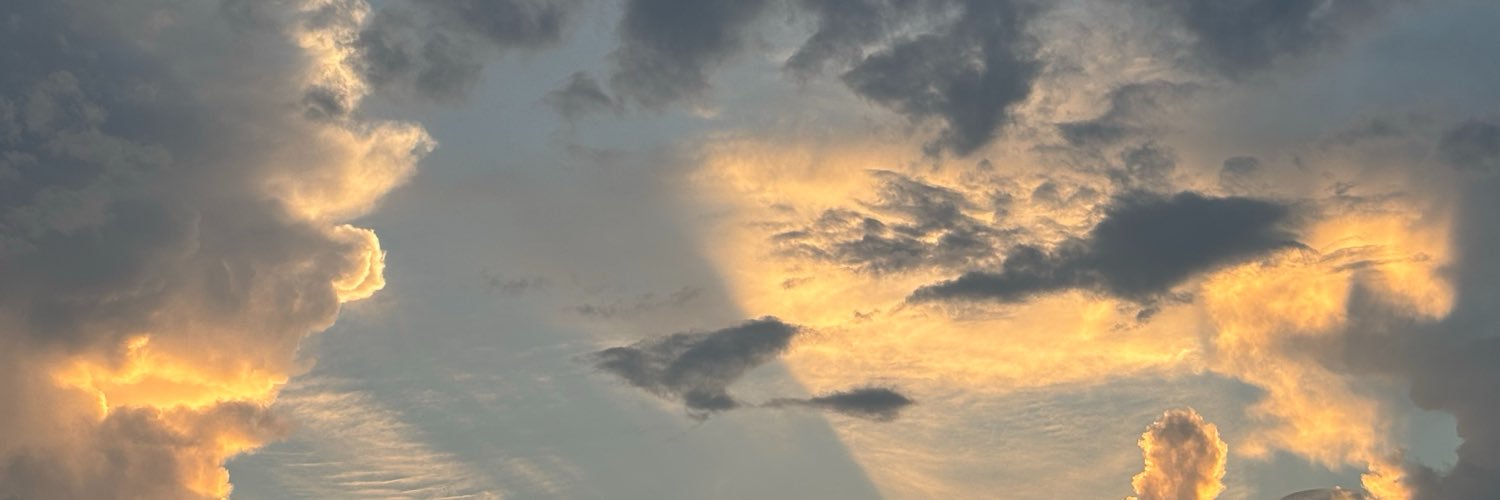 彩彩🍥's banner
