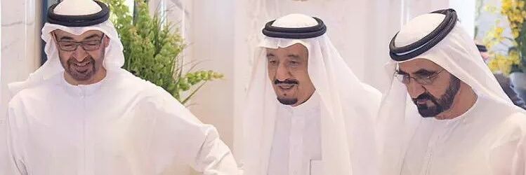 مـحـمـد الـحـمّـادي🇦🇪's banner