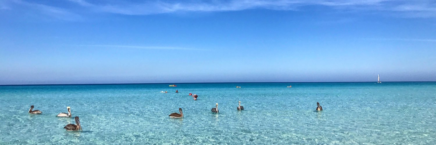 ⛱⛱🐧Coco Vicke🐧⛱⛱'s banner