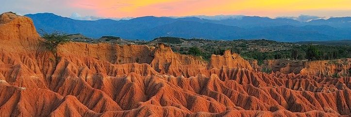 U L D A R I C O's banner