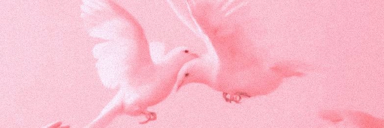 Morgan Ariel's banner