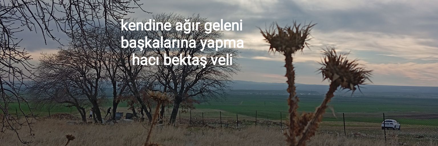 tansel KARACA's banner