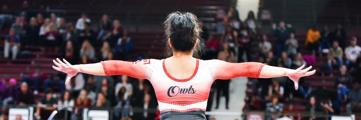 Temple Gymnastics's banner