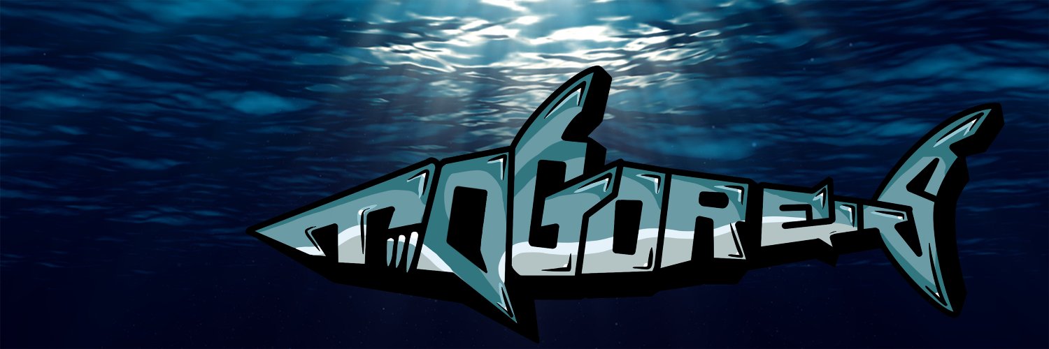 TogoresMTG 🦈's banner