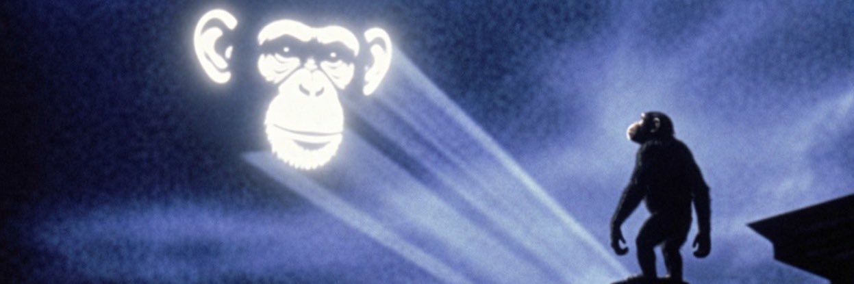 Chimp's banner