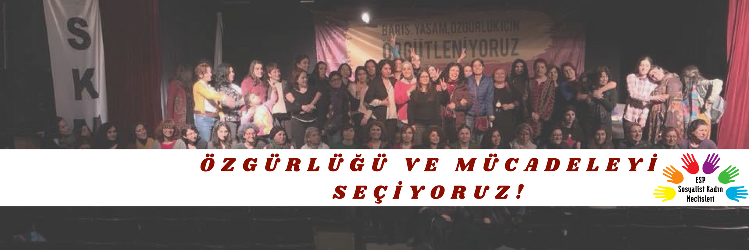 Sosyalist Kadın Meclisleri's banner