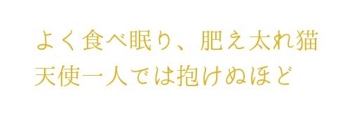 蝙蝠🦇アプリ配信ﾁｭ's banner