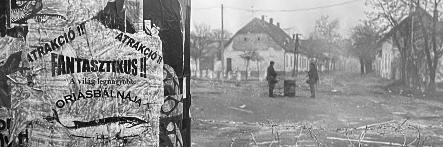 Waldemar's banner