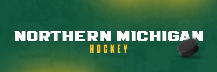 Northern Michigan Hockey's banner