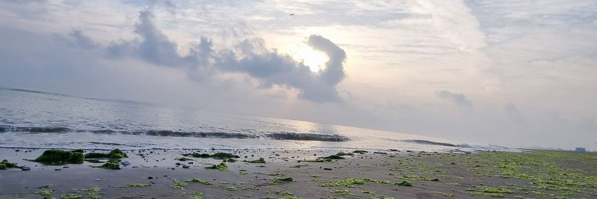عبدالمجيد البلوشي's banner