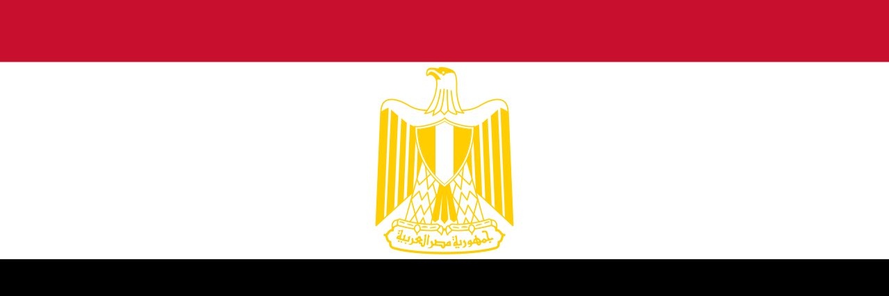 محمد الديسطي's banner