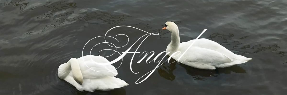 kait's banner