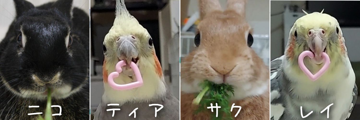 ニコティ🐰🐥🐥's banner