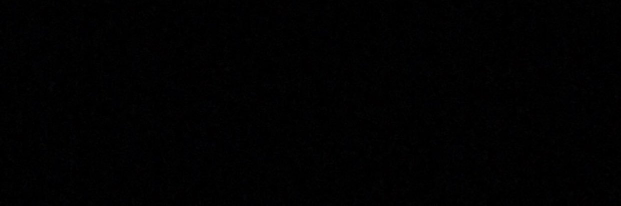 Scooby Nero's banner
