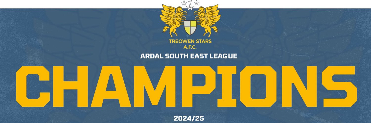 Treowen Stars's banner