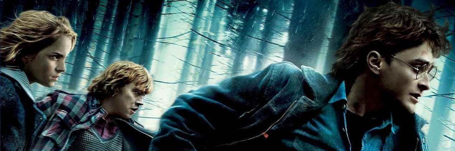 Harry Potter's banner