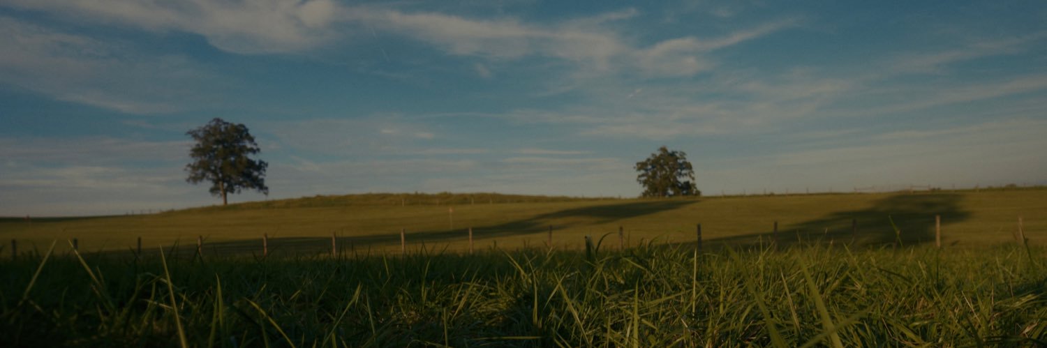 Tiera Kennedy's banner