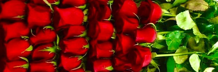 Эва Мишээл's banner
