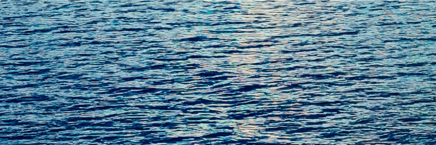 Leon Bridges's banner