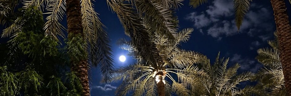 بعيد الهقاوي's banner