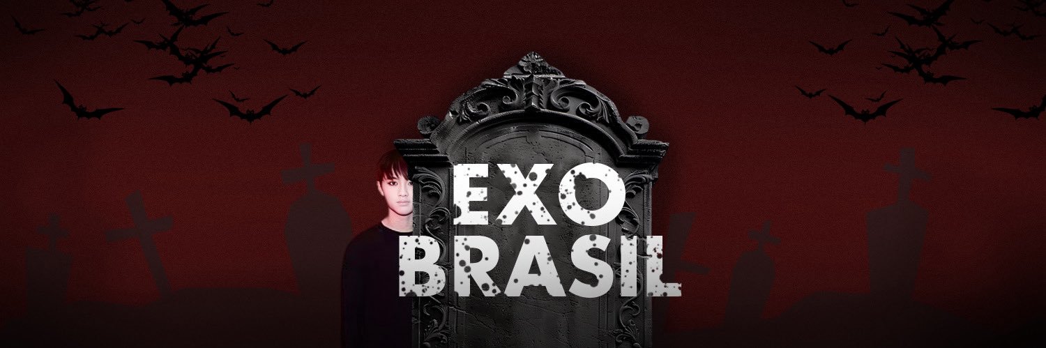 EXO BRASIL's banner