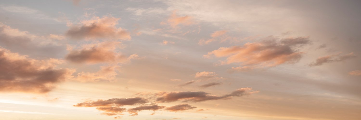 howwy ✨'s banner