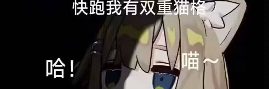 坏猫's banner
