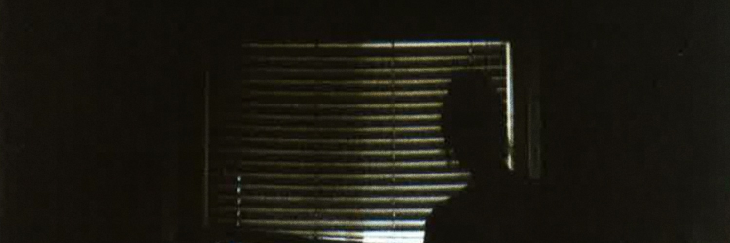 lilli furfaro's banner