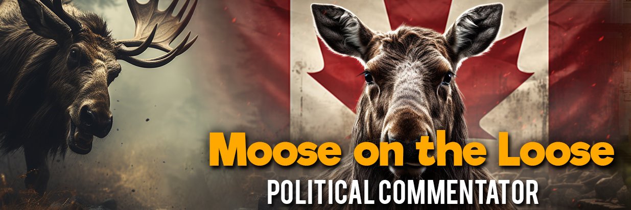 Moose on the Loose's banner