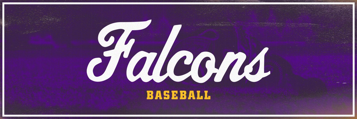 Montevallo Baseball's banner