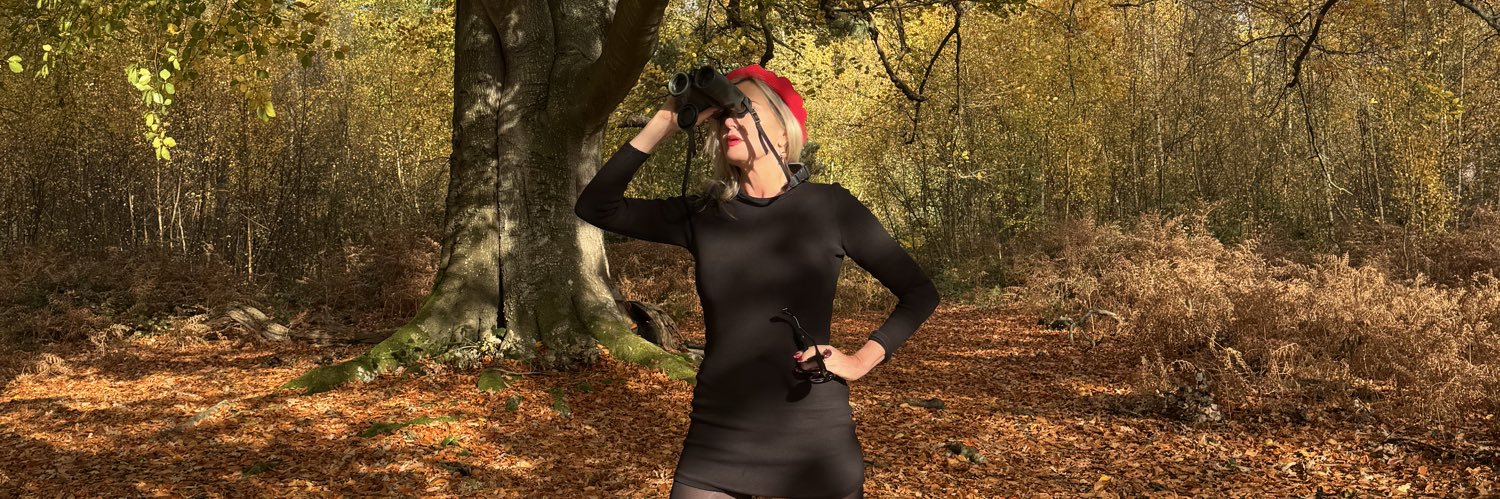Nancy Sorrell's banner