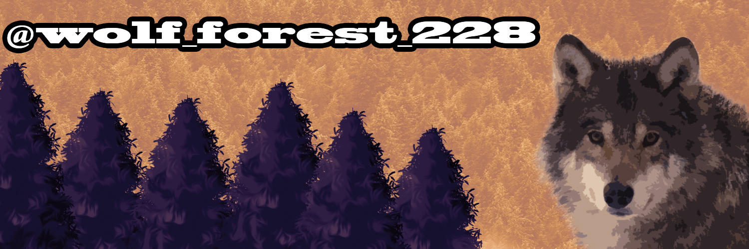 Волкот од шумата 🌲's banner