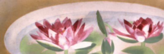 rin's banner