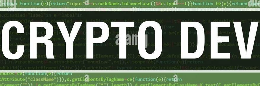 The Crypto Dev's banner
