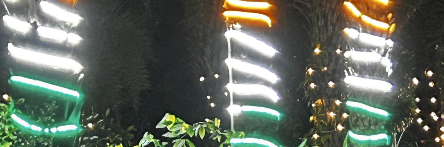 Shazia Ilmi's banner