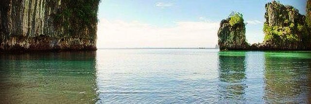 Zebrone ®️'s banner