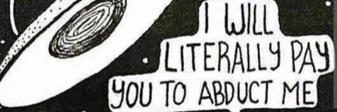carol leonard's banner