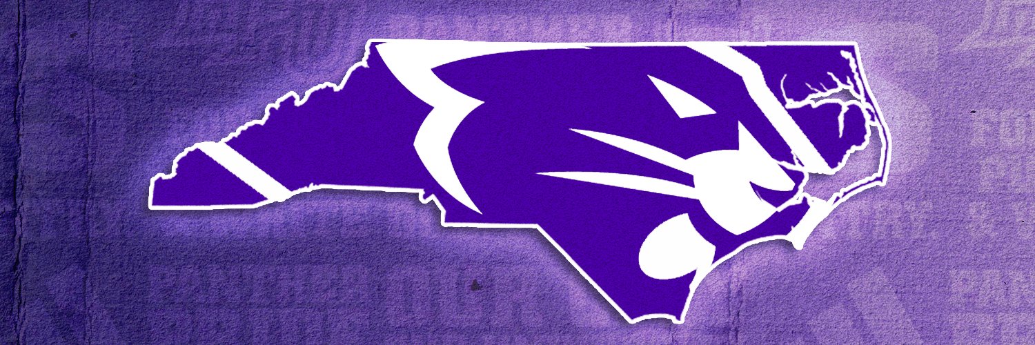High Point Panthers's banner