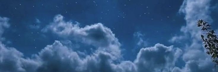 غــز ل 🌹's banner