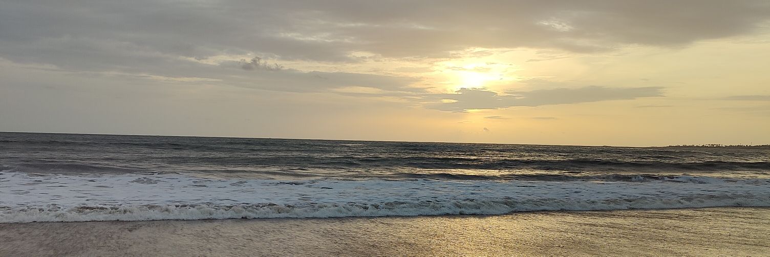 divya's banner