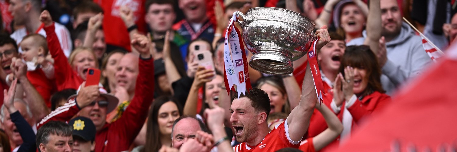 Louth GAA's banner