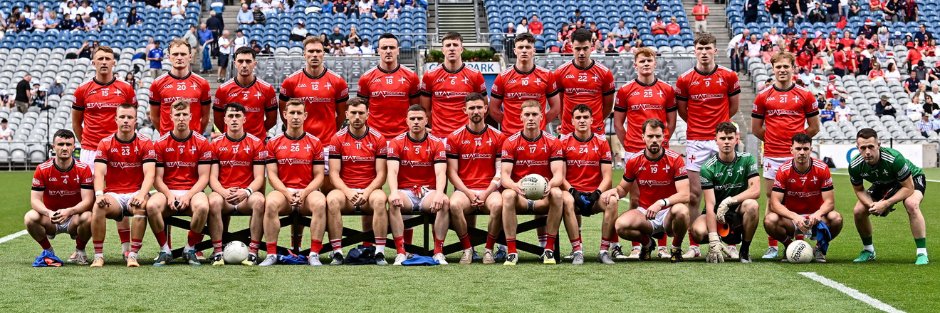 Louth GAA's banner