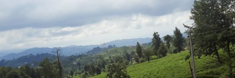 سامي البليهد's banner