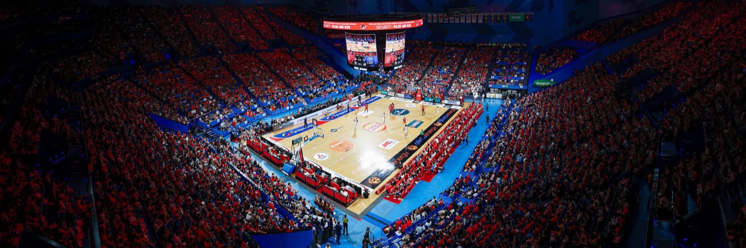 Perth Wildcats's banner