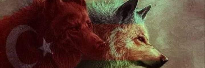 EVREN 🇹🇷's banner