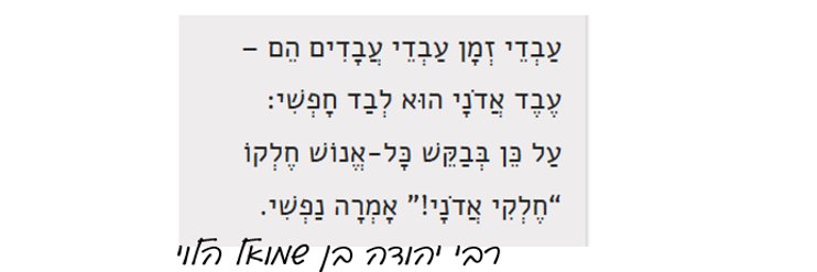 נגה ארבל Noga Arbell's banner