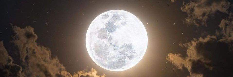 بدر السنبل's banner