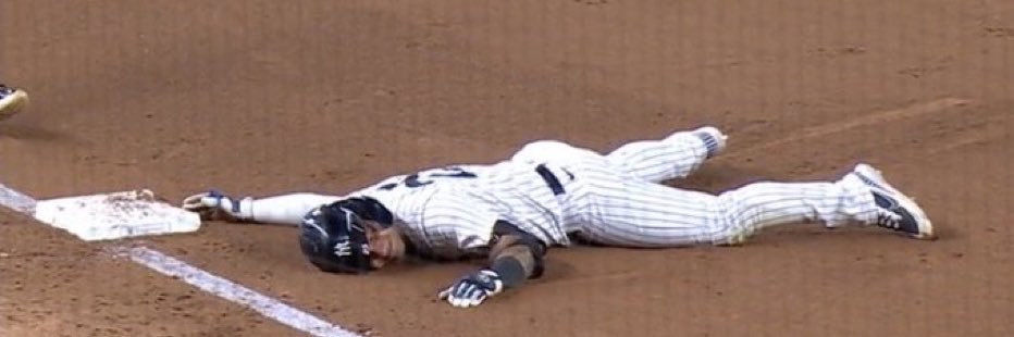 Bronx Hawk's banner