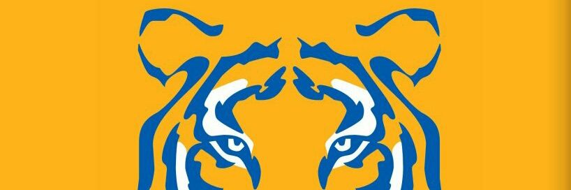 TITA TIGRES's banner